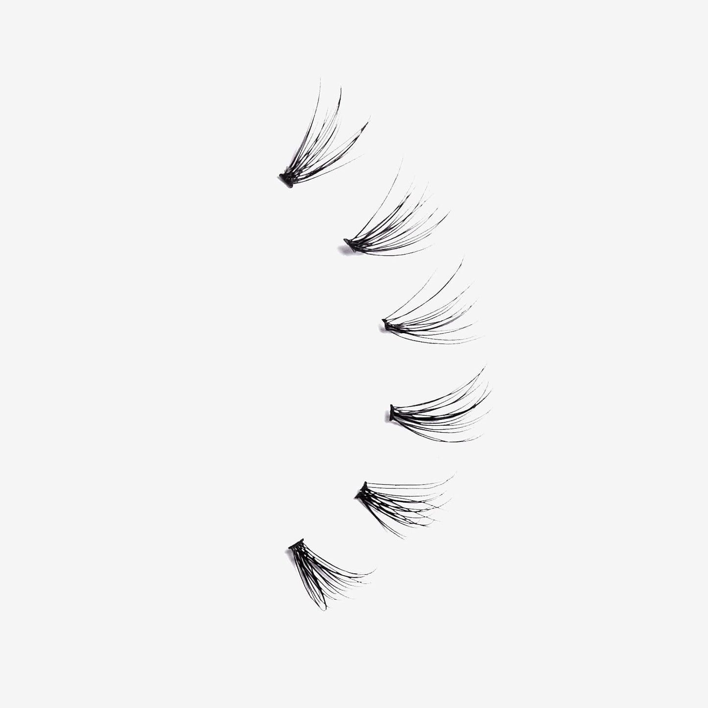 Lash Couture Faux Lash Extensions