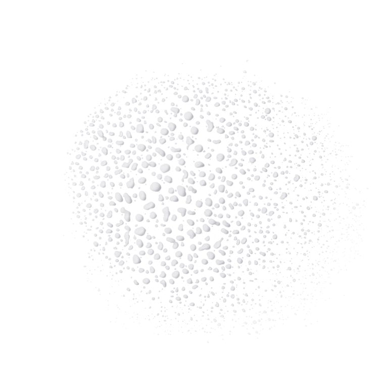 REVLON Lock Setting Mist