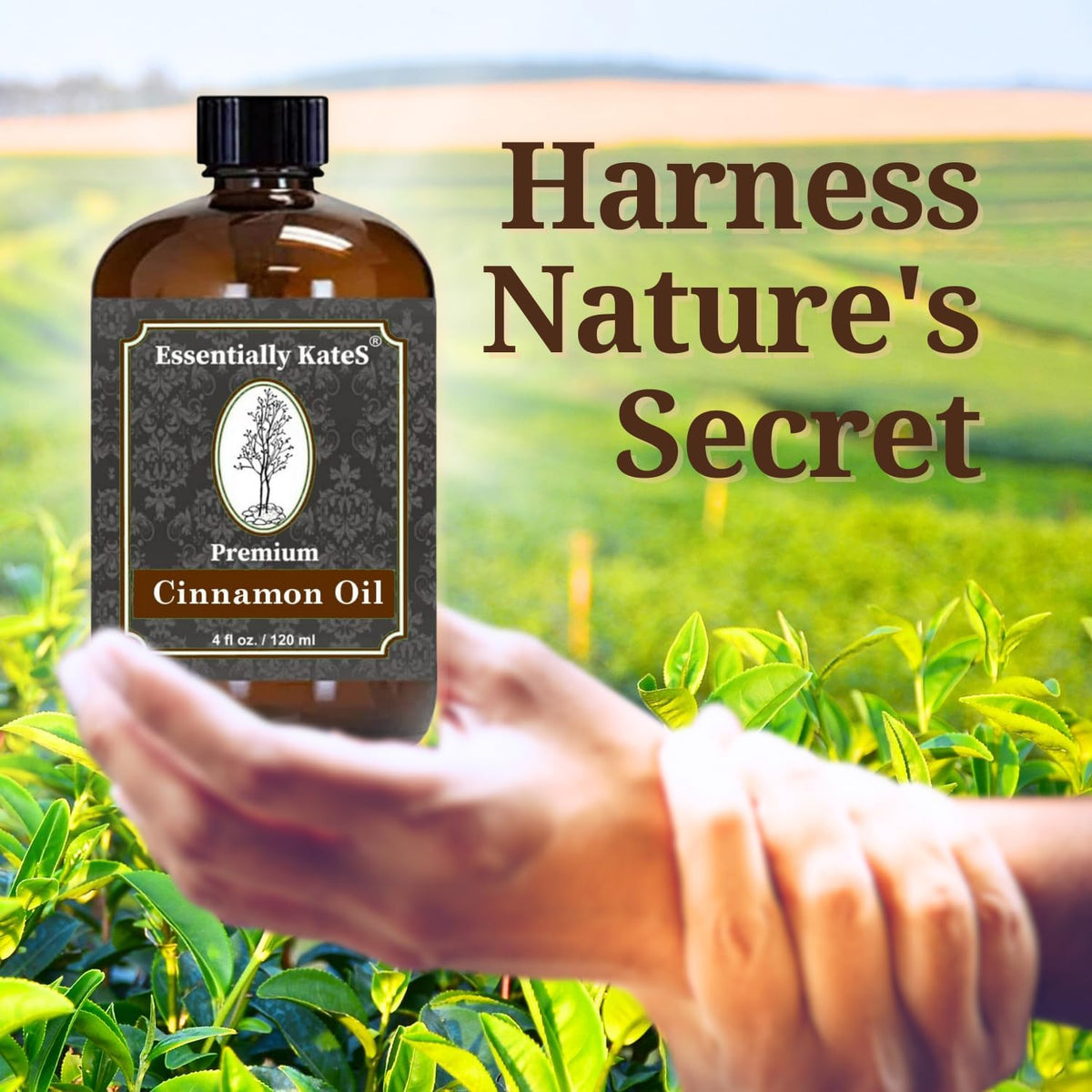 Premium Oil