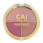 Para Mi 4 Shade Blush Palette