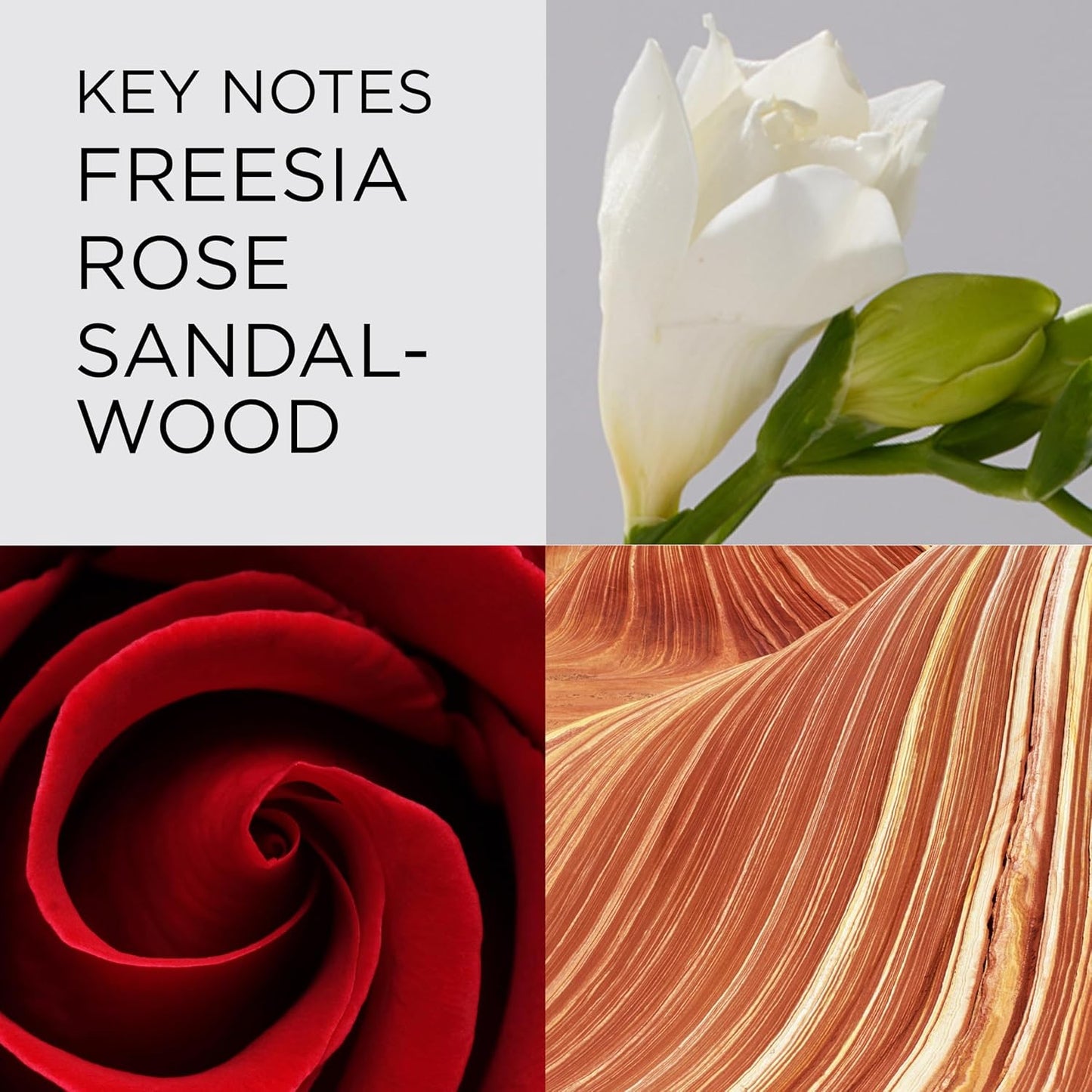 Red Door Eau de Toilette Spray